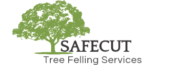 Tree Felling & Stump Removal in Cape Town